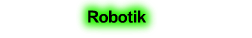 Robotik